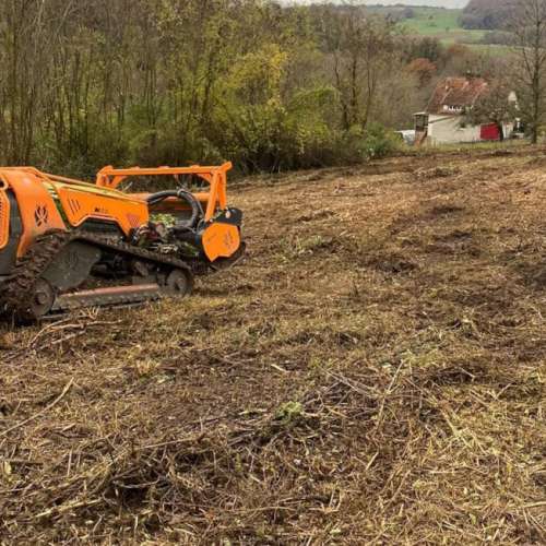 Robots forestiers min